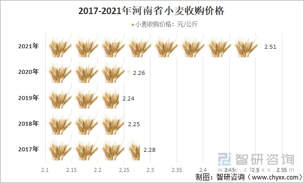 江苏小麦今日最新价格揭秘，最新行情动态速递🔍
