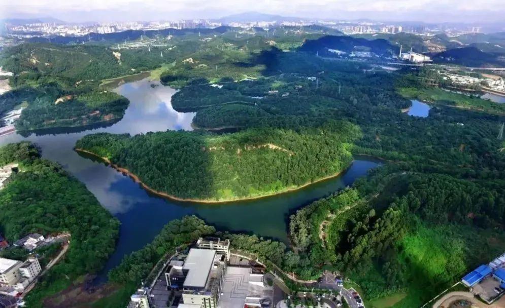 平湖最新楼盘销售排名，科技重塑居住梦想，未来生活触手可及展望