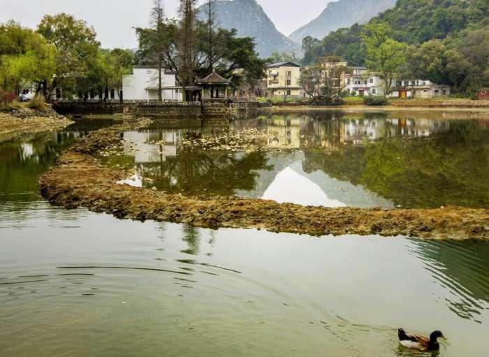 桃江核电站最新动态更新，最新消息汇集