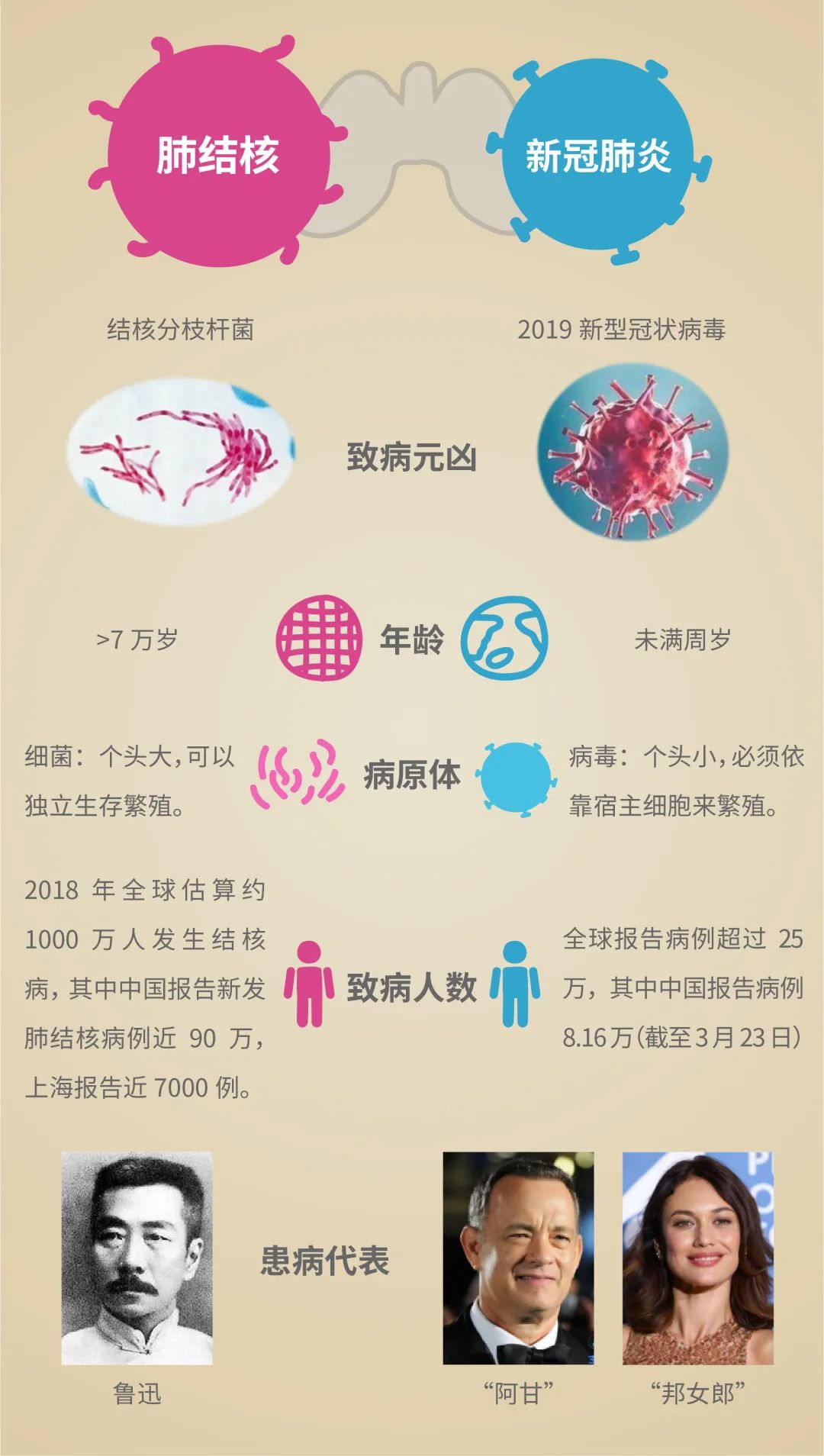 肺结核新药最新进展，科技之光助力健康之路