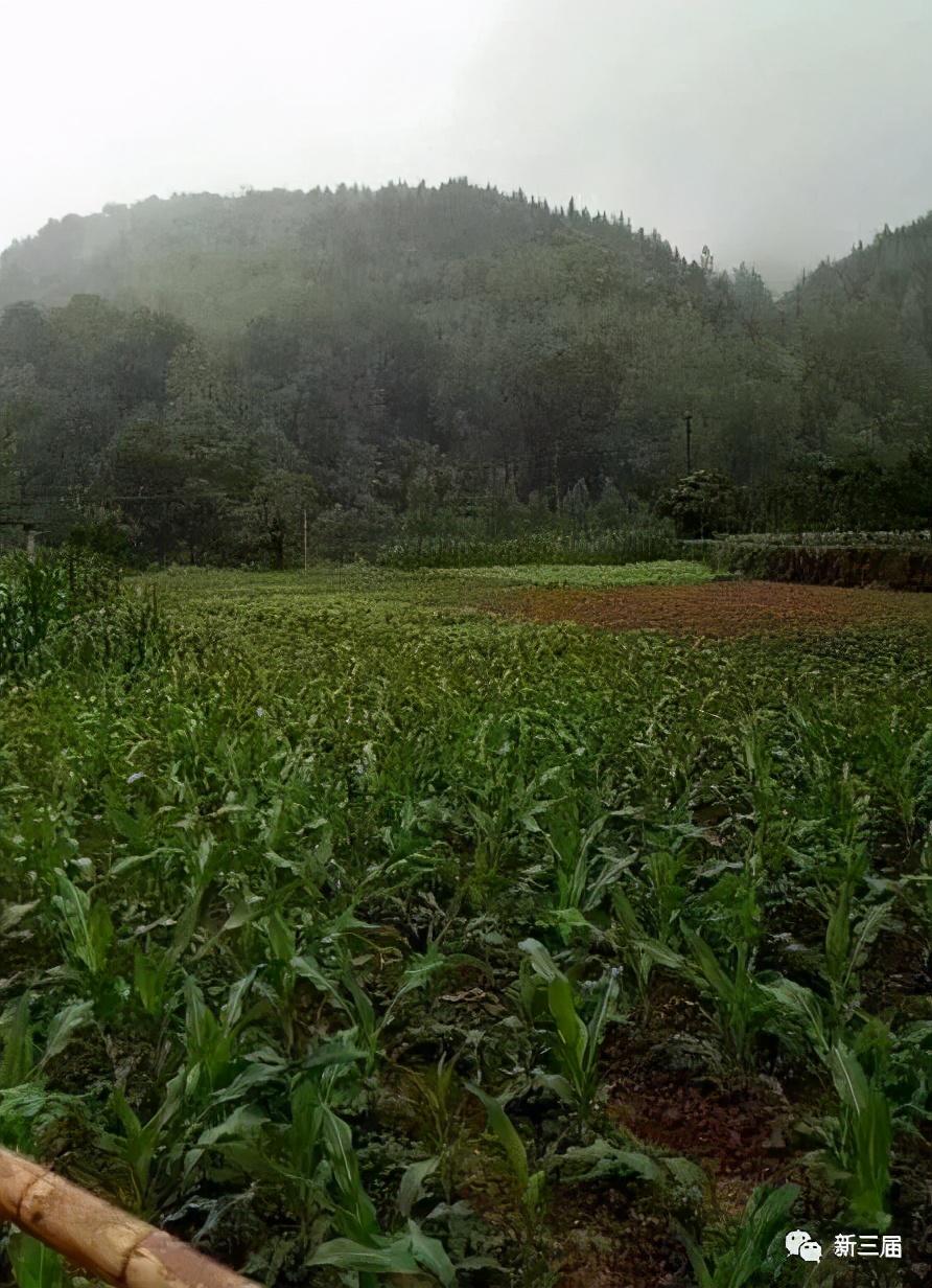 莱州欧泰重工 第31页