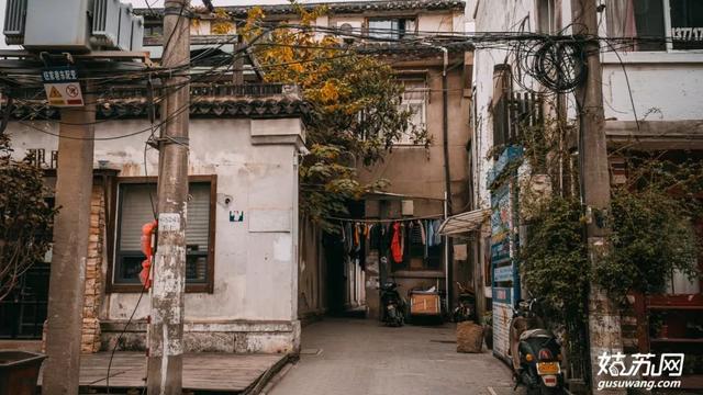 默迹天气最新版下载，小巷宝藏与特色小店的奇遇之旅