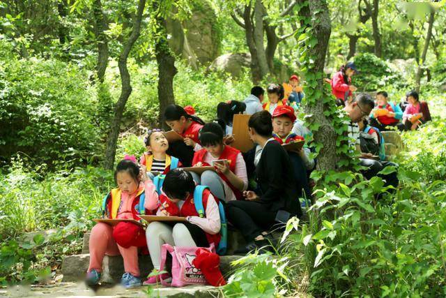 惠佐羽最新作品揭秘，蜕变之力与学旅自信喜悦的启示