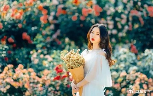 顾念念陆少城日常温馨趣事，最新章节一览