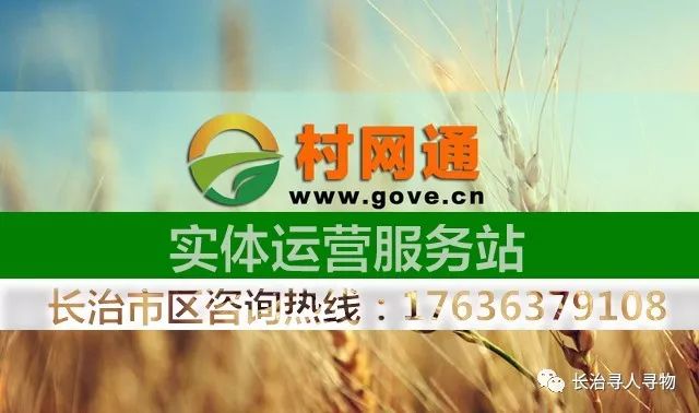 锡林123最新招聘信息网，求职奇遇与岗位速递