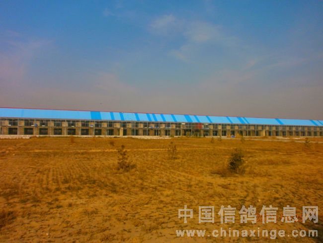 宁夏中卫公棚最新公告,宁夏中卫公棚最新公告观点论述