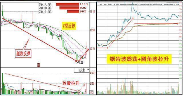通威股份最新利好消息，变化中的学习之旅，成就感的源泉，自信展现时刻