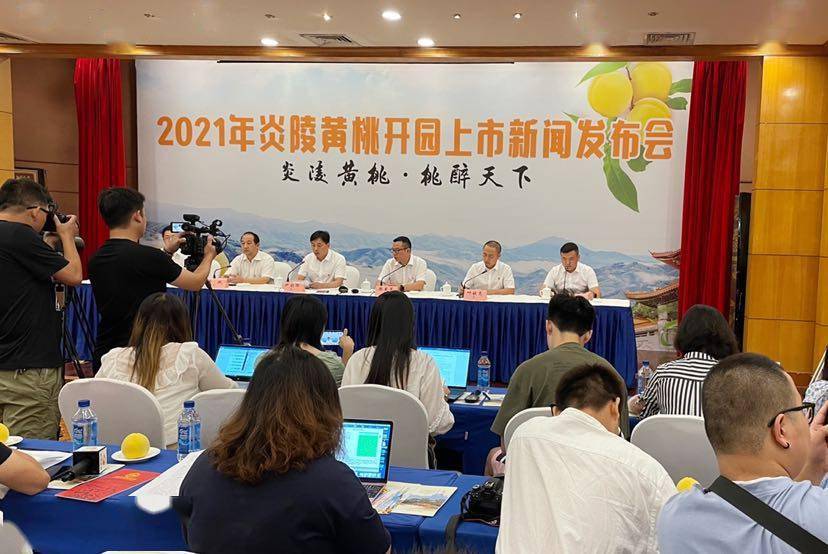 湖南炎陵最新新闻，科技前沿的高科技产品亮相
