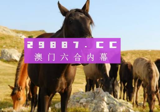 澳门管家婆一肖一码2023年图片,高效计划实施_BQP25.459升级版
