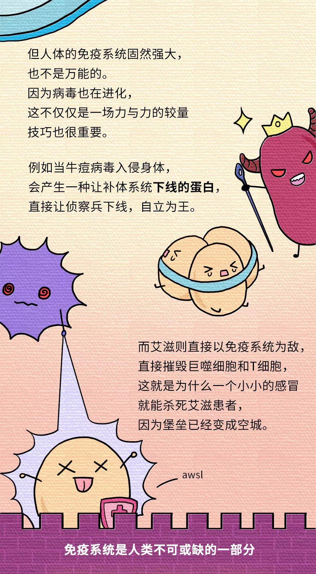 部落冲突7本防御最新全面解析，打造无敌堡垒攻略！