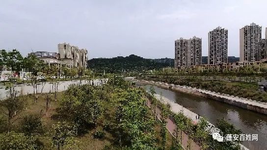余杭星桥最新招聘启航，探索自然美景，寻找内心宁静之旅