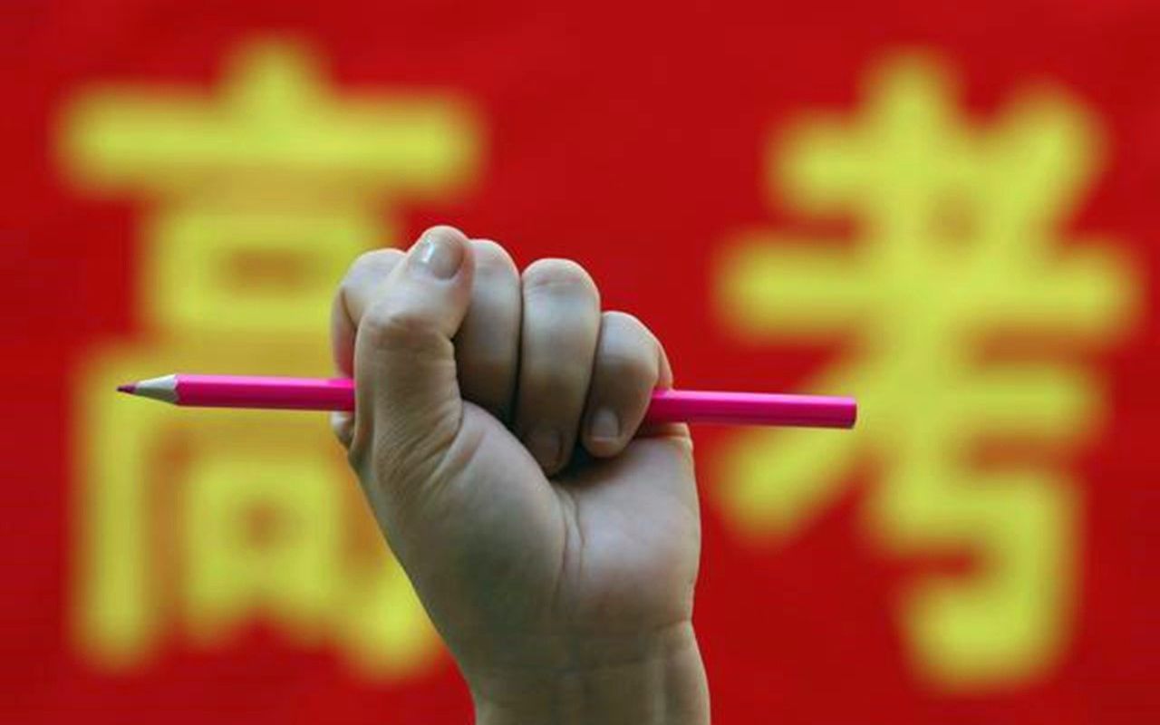 高考最新动态，心灵与自然的奇妙之旅