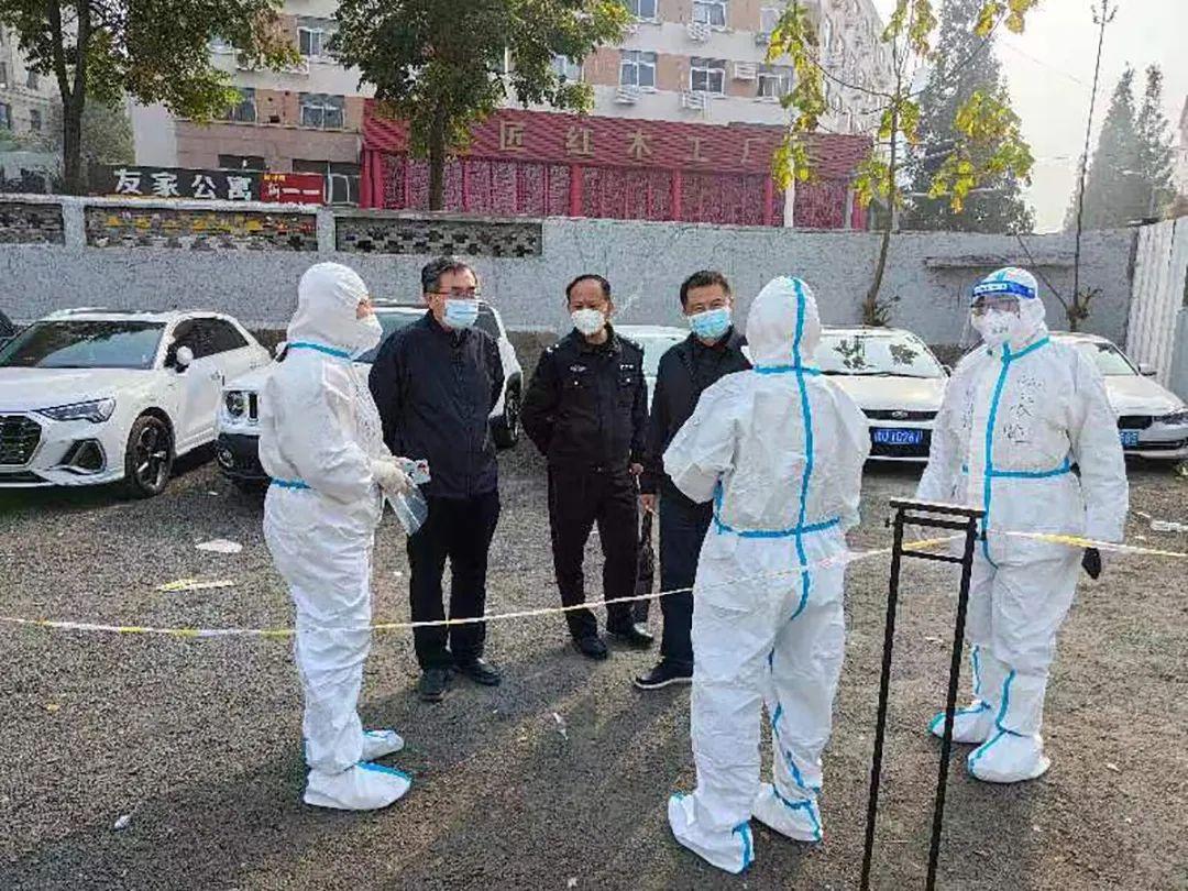 青岛疫情最新动态详解，初学者与进阶用户的步骤指南