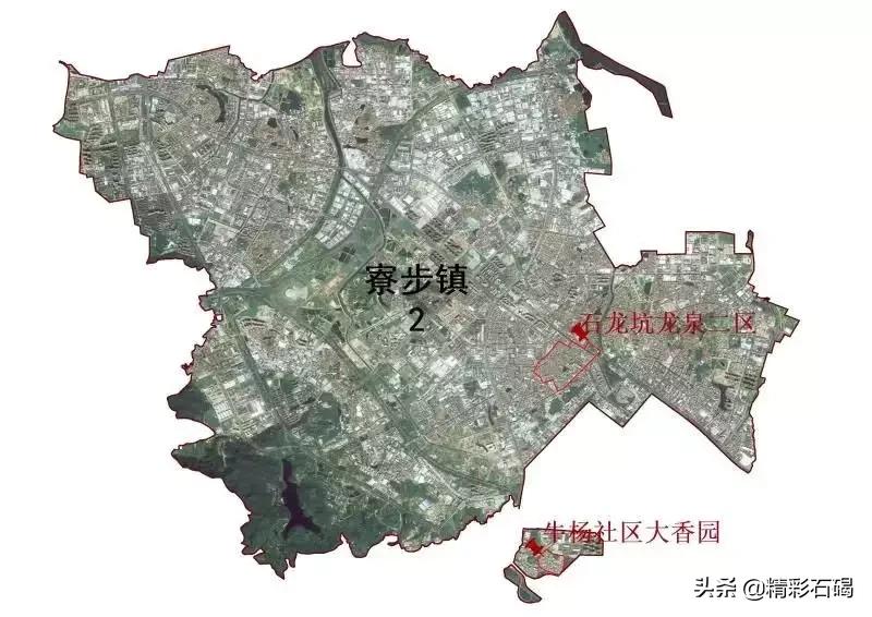 东莞最新病历探讨与分析