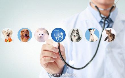 香港最新肺炎形势下的学习变革，自信与成就的力量