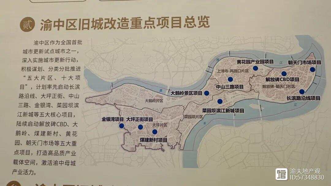 最新发展动态