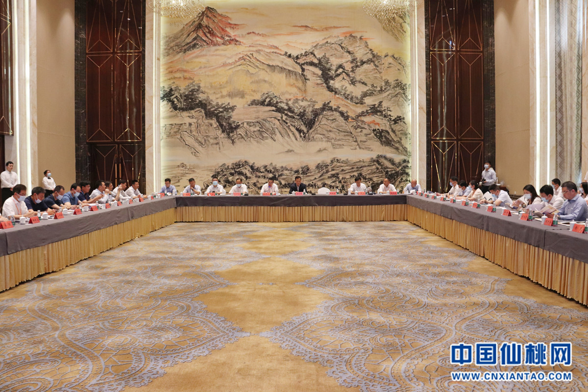 华润仙桃电厂最新动态揭秘，全方位解读进展与挑战