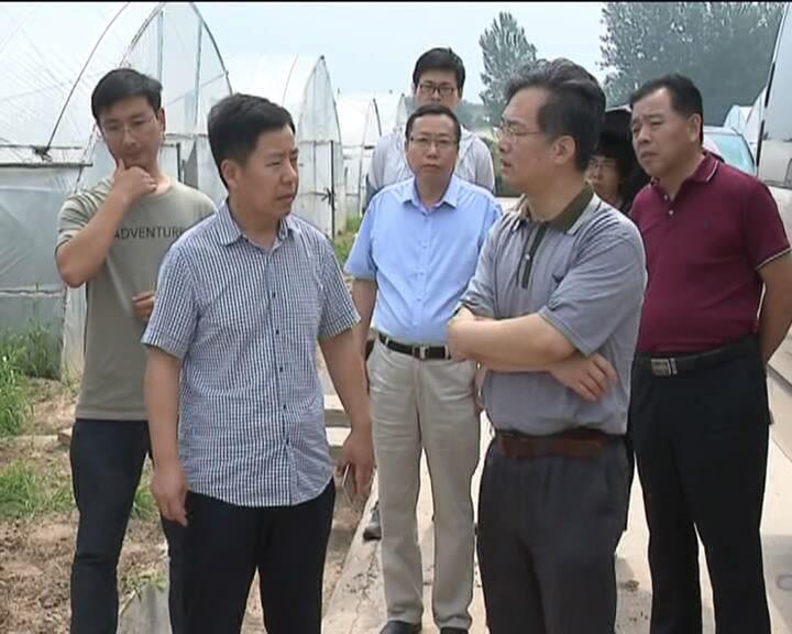 农业部最新政策重塑农业未来前景