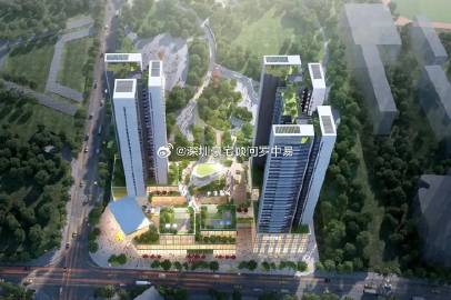 阳光2号2期最新净值与小巷深处的惊喜探索