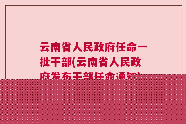 云南省最新干部任命及其背后的故事