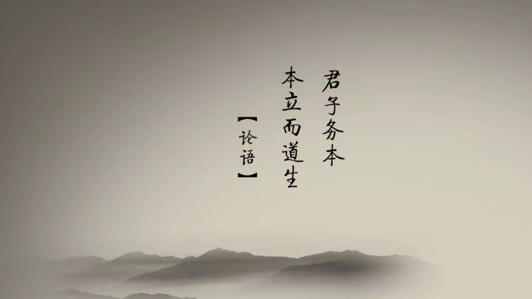洛寒与龙枭，成长励志之旅的最新篇章