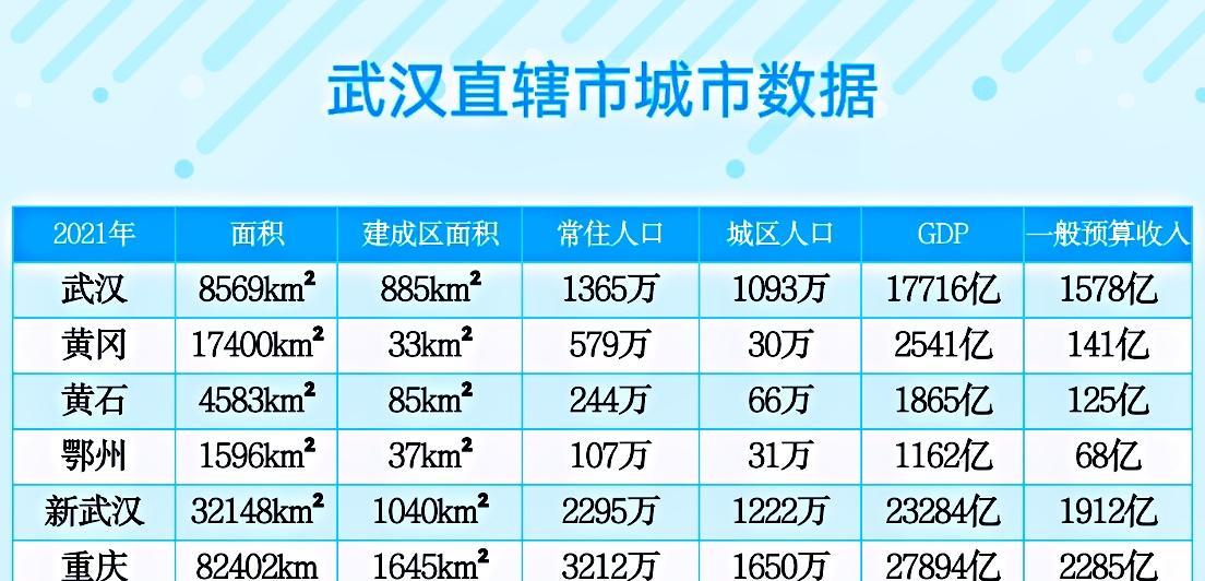 最新动态更新